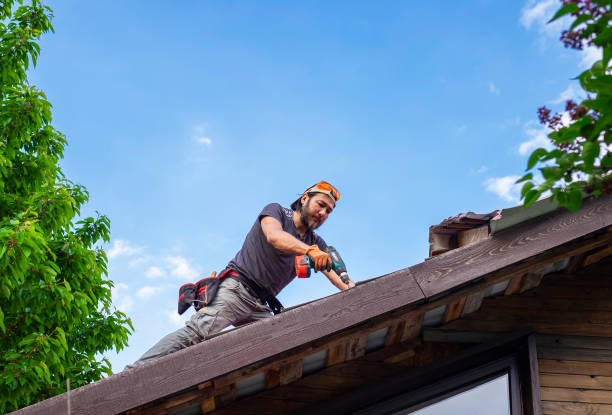Best Roof Insulation Installation  in Hawaiian Ocean View, HI