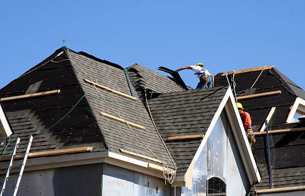 Best Roof Moss and Algae Removal  in Hawaiian Ocean View, HI